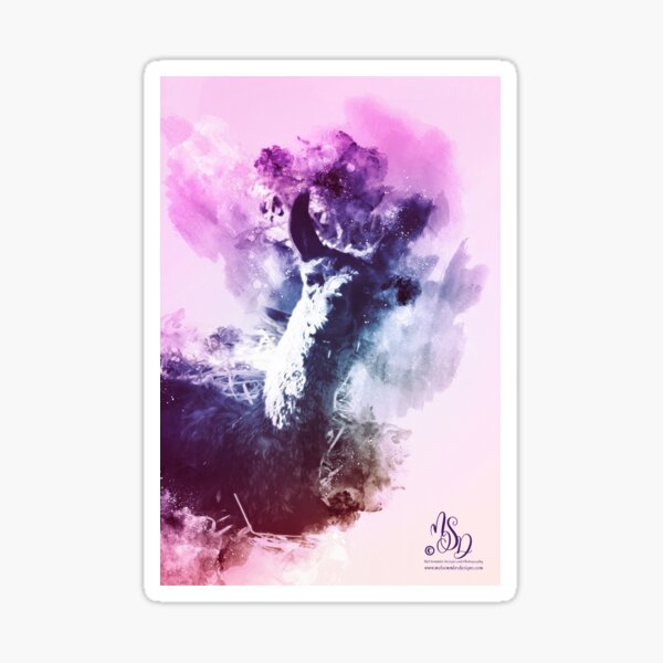 Sunset Cimet Suri Llama from Painted Pines Llamas, Mel Semmler Designs Sticker