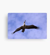 Soaring Canvas Print