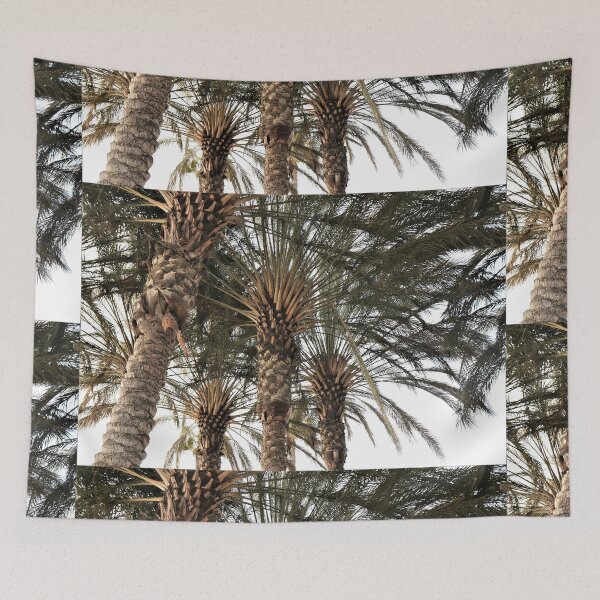 Item preview, Palm Canopy designed and sold by RVogler.