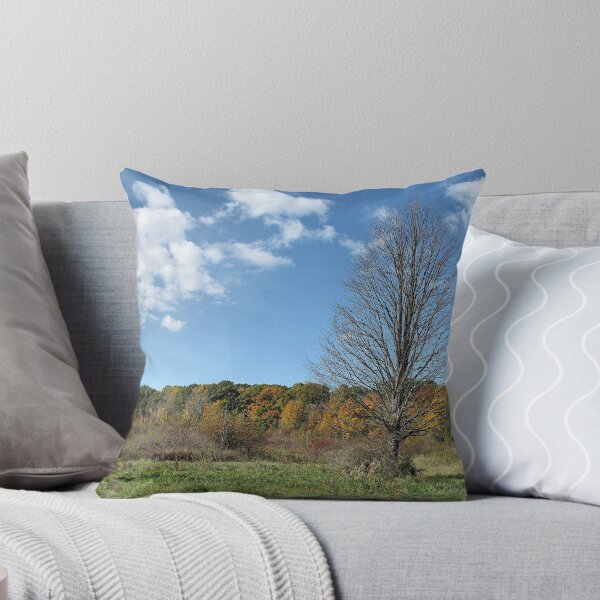 Item preview, Reservoir Color designed and sold by Monnie Ryan.