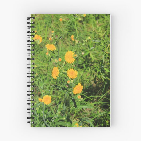 Item preview, Dandelion Wildflowers designed and sold by rhamm.