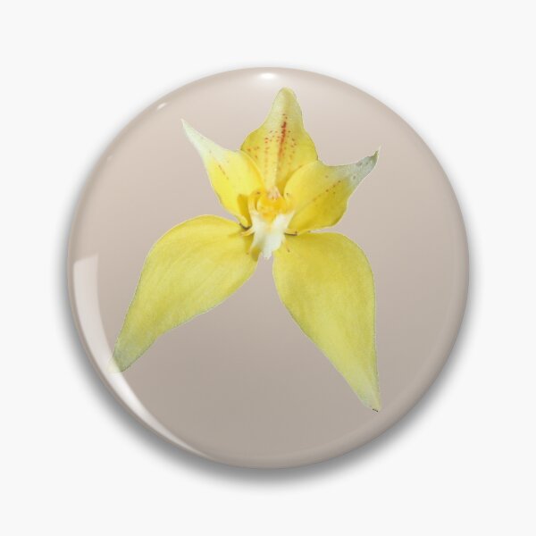 Item preview, Yellow Cowslip Orchid designed and sold by STHogan.