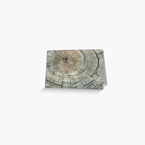 Item preview, Rings of Life 1 designed and sold by Rob Chiarolli.