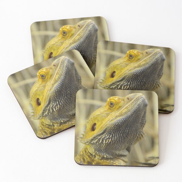 Item preview, Australian Inland Bearded Dragon Reptile designed and sold by HotHibiscus.