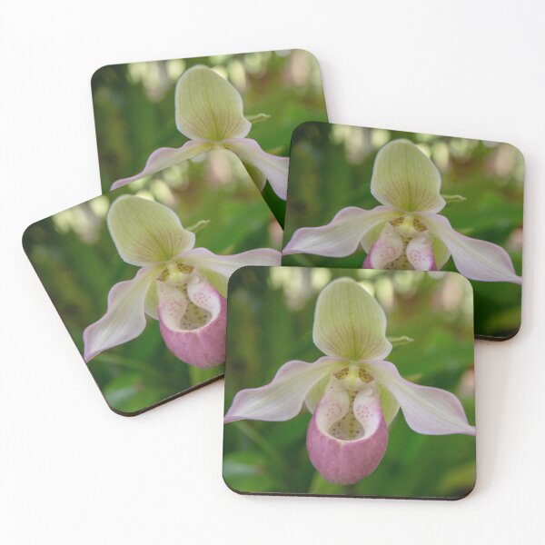 Item preview, Orchidea flower designed and sold by Zentura.
