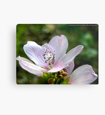 Tiny Pink Flower Metal Print