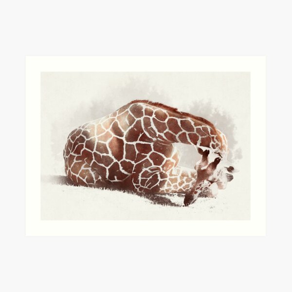 Giraffe Art Print
