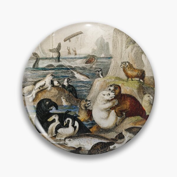 Item preview, Sea mammals vintage poster art designed and sold by Vintage Designs +.