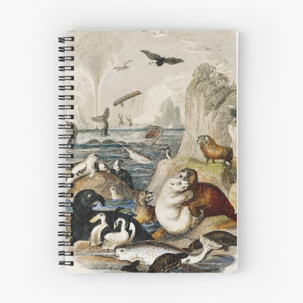 Item preview, Sea mammals vintage poster art designed and sold by Vintage Designs +.