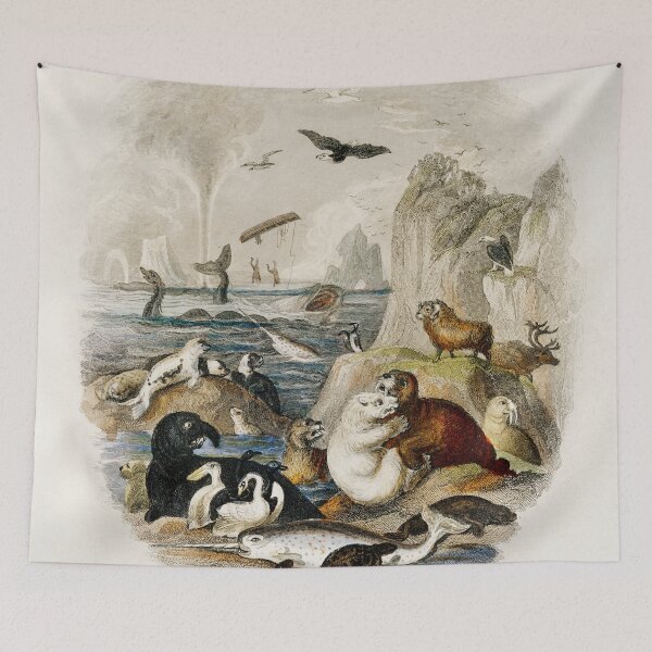 Item preview, Sea mammals vintage poster art designed and sold by Vintage Designs +.