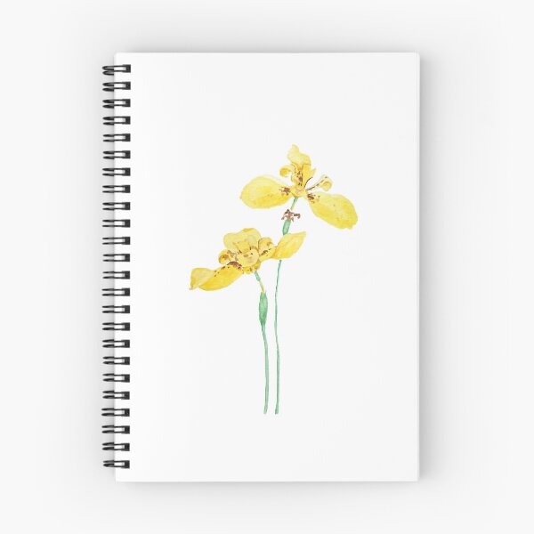 Item preview, hand painted 2 yellow iris  flowers designed and sold by SelenePaintings .