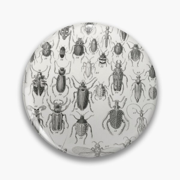 Artikelvorschau, A beetle species poster vintage illustration  entworfen und verkauft von Vintage Designs +.