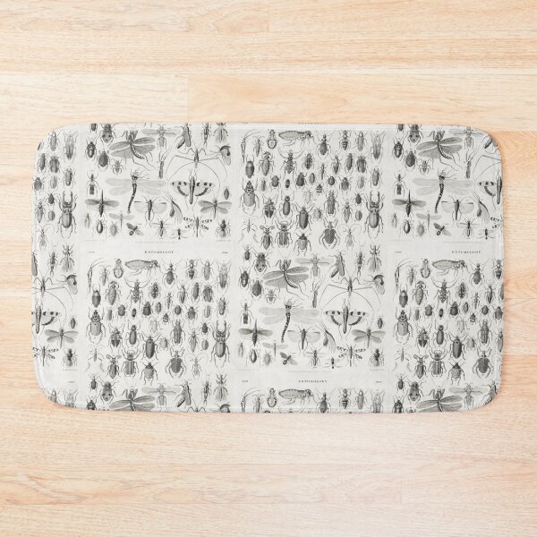 Item preview, A beetle species poster vintage illustration  designed and sold by Vintage Designs +.