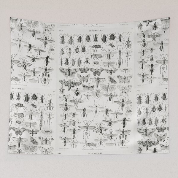 Artikelvorschau, A beetle species poster vintage illustration entworfen und verkauft von Vintage Designs +.