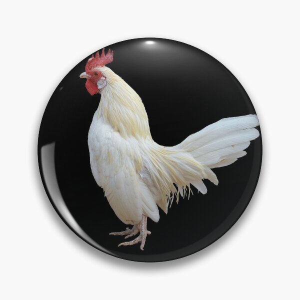 Item preview, Chicken designed and sold by Dorcas89.