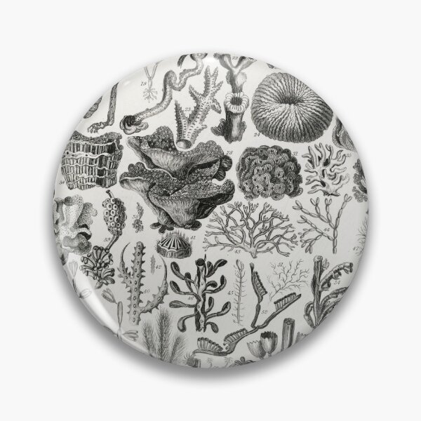 Artikelvorschau, Species of Coral poster  vintage illustration  entworfen und verkauft von Vintage Designs +.