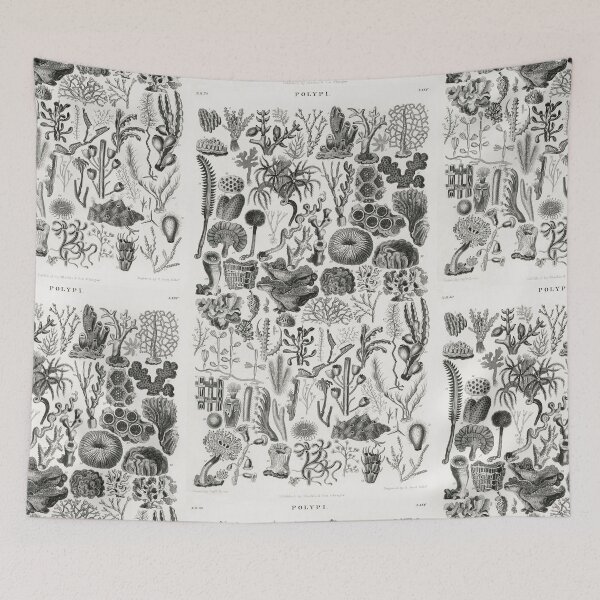 Item preview, Species of Coral poster  vintage illustration  designed and sold by Vintage Designs +.