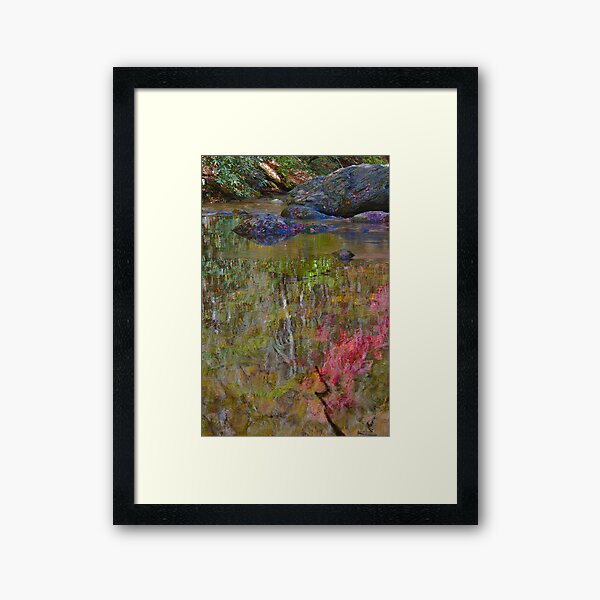 Impressionist Close Up (view larger) Framed Art Print