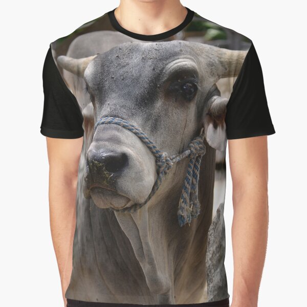 Sacred Horned Brahman Cow Portrait Graphic T-Shirt