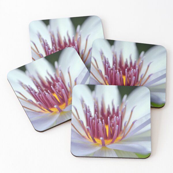 Item preview, Water Lily #1 designed and sold by SyPhelan.