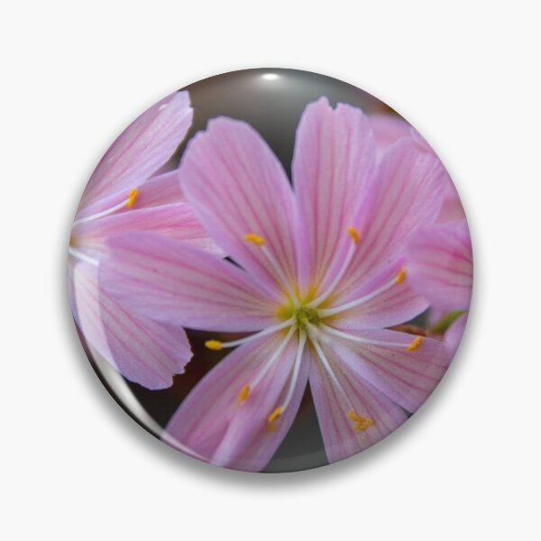 Item preview, Floral macro designed and sold by Zentura.