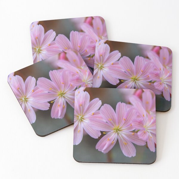 Item preview, Floral macro designed and sold by Zentura.