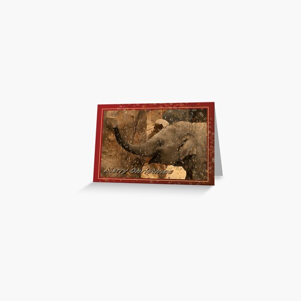 Little elephant stars - Merry Christmas Greeting Card