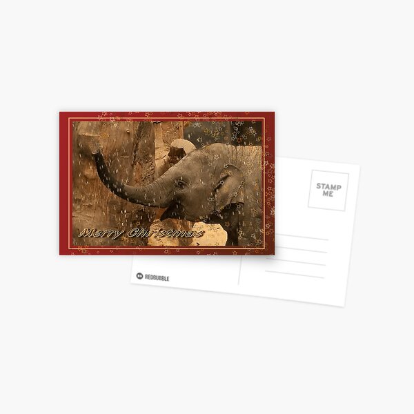 Little elephant stars - Merry Christmas Postcard