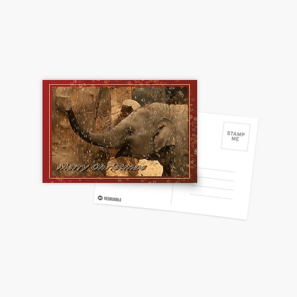 Little elephant stars - Merry Christmas Postcard
