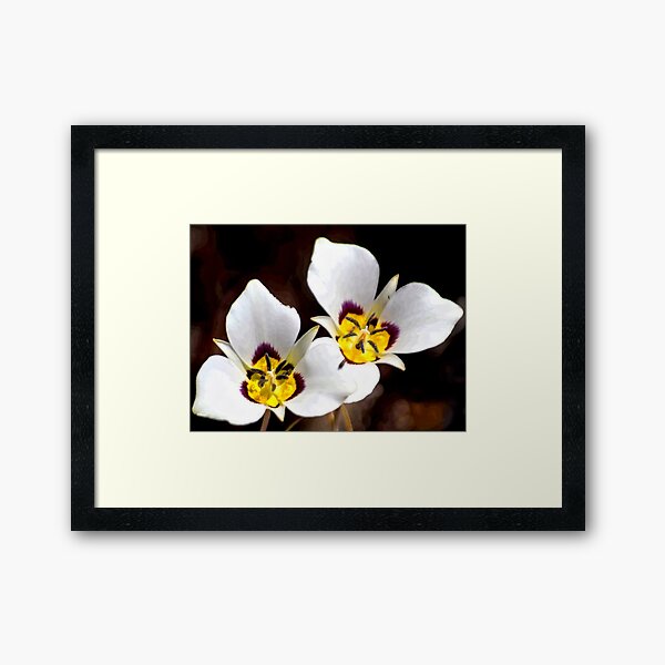 Item preview, Sego Lily designed and sold by Arla Ruggles.