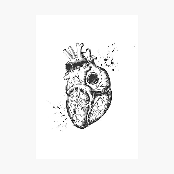 Anatomical Heart • White • Minimalist Goth Photographic Print