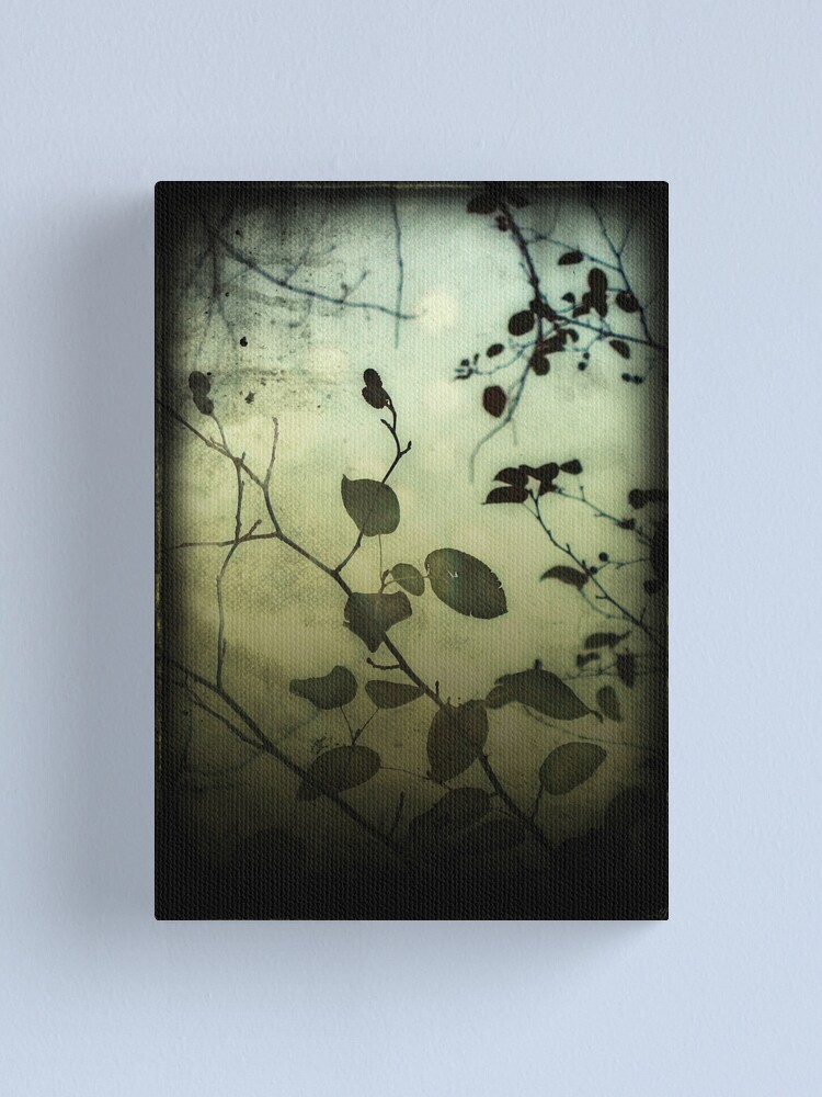 Alternate view of Through a Glass Darkly Canvas Print