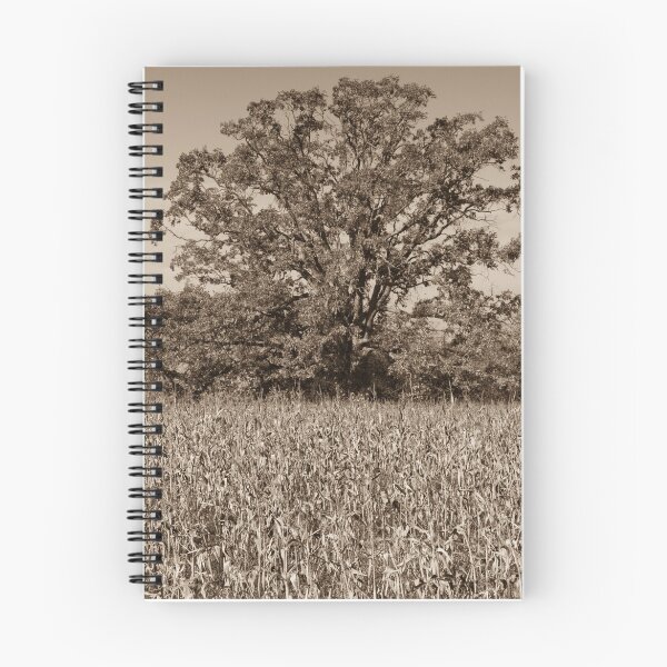 Item preview, Guarding The Corn Field designed and sold by Robert Kelch, M.D..