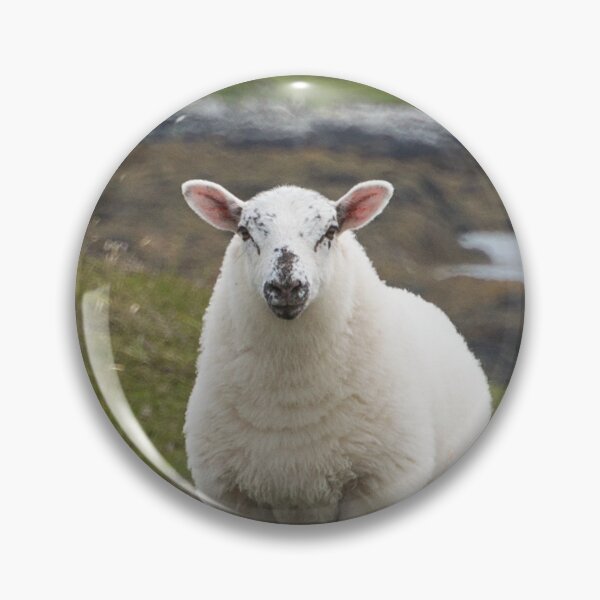 Item preview, The prettiest sheep designed and sold by vfphoto.