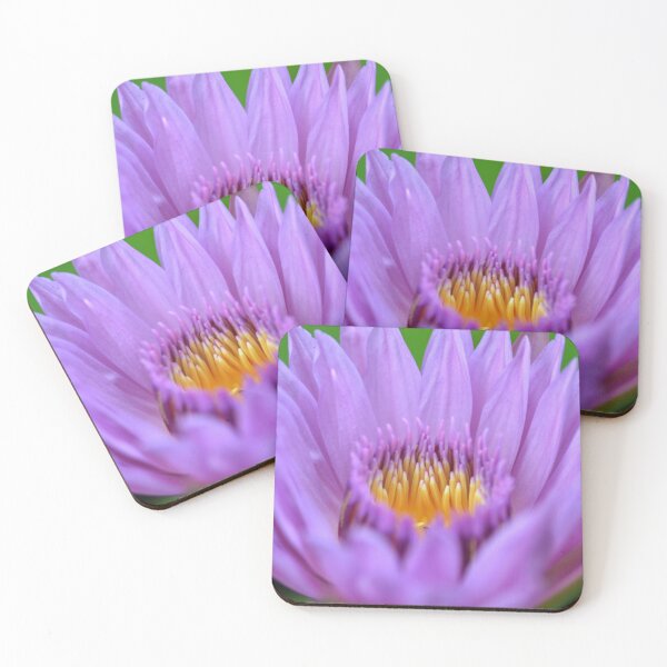 Item preview, Water Lily #2 designed and sold by SyPhelan.