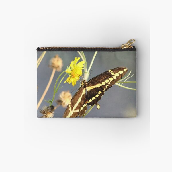 Item preview, Wingspan  designed and sold by Olivia Plasencia.