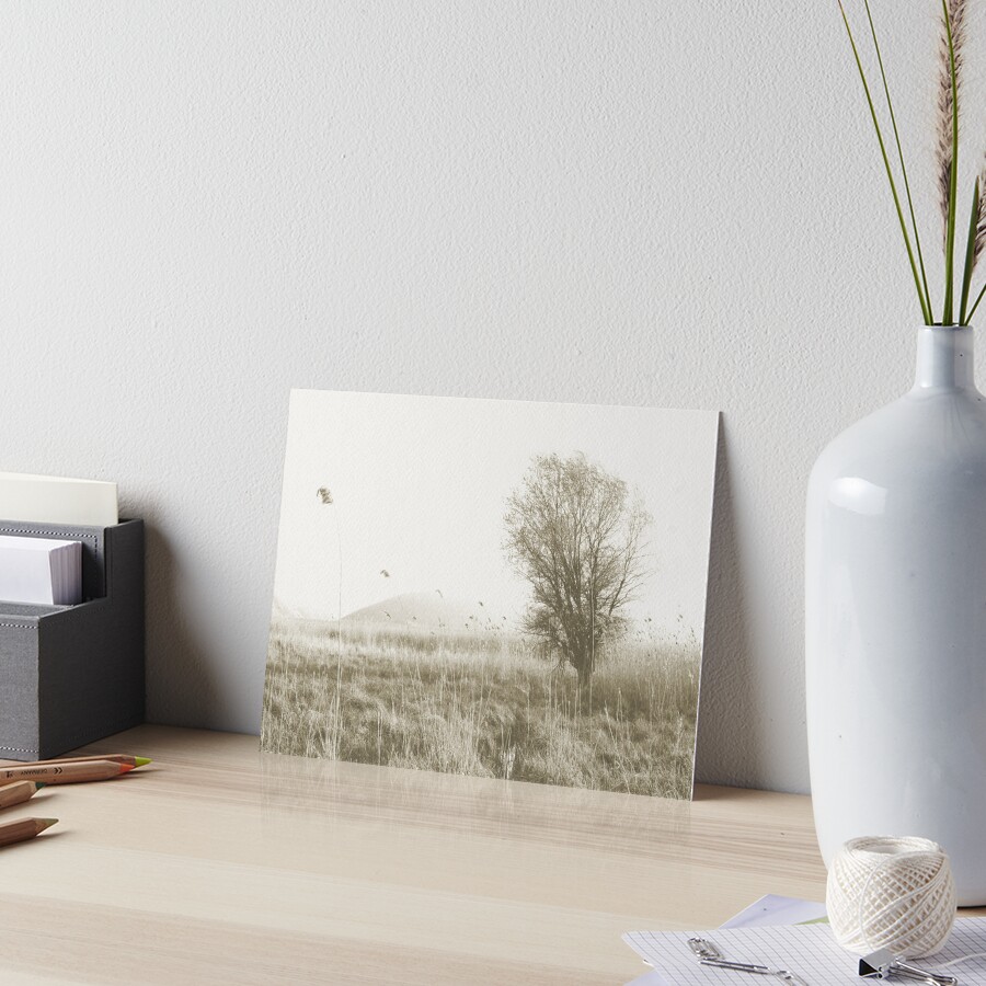 Windy Field Art Board Print