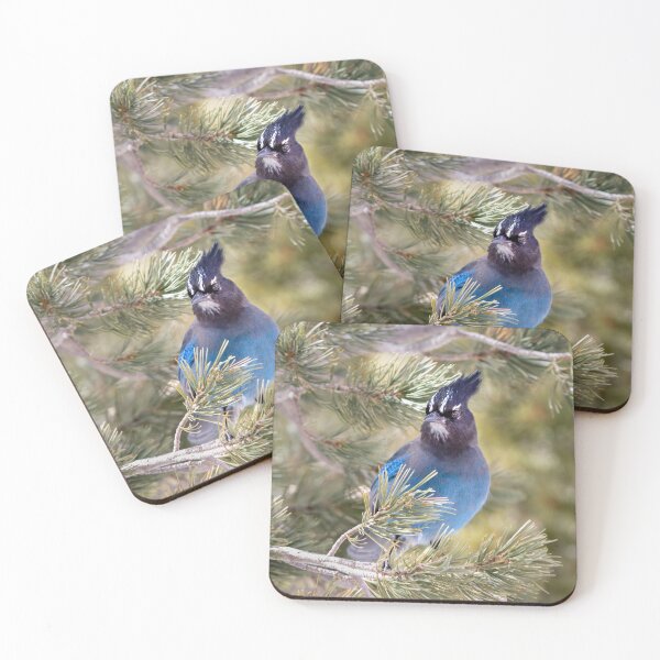 Item preview, Beautiful blue Steller's Jay designed and sold by Squirrel-Girl.