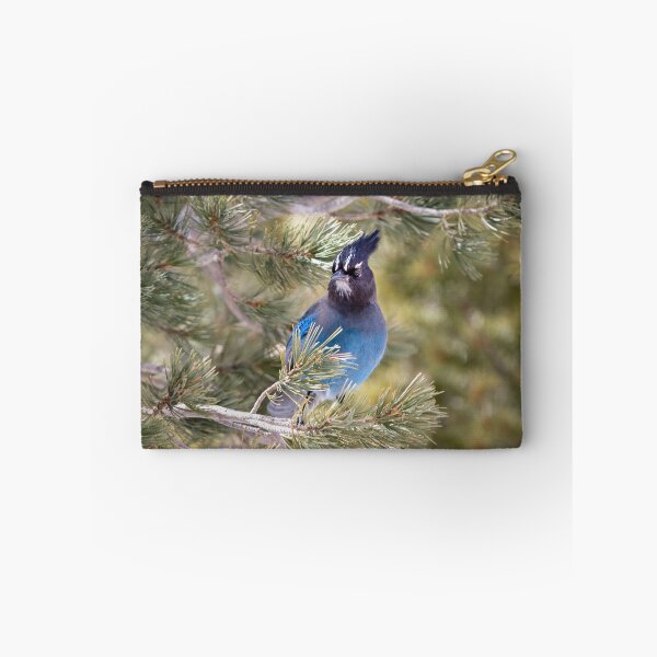 Item preview, Beautiful blue Steller's Jay designed and sold by Squirrel-Girl.