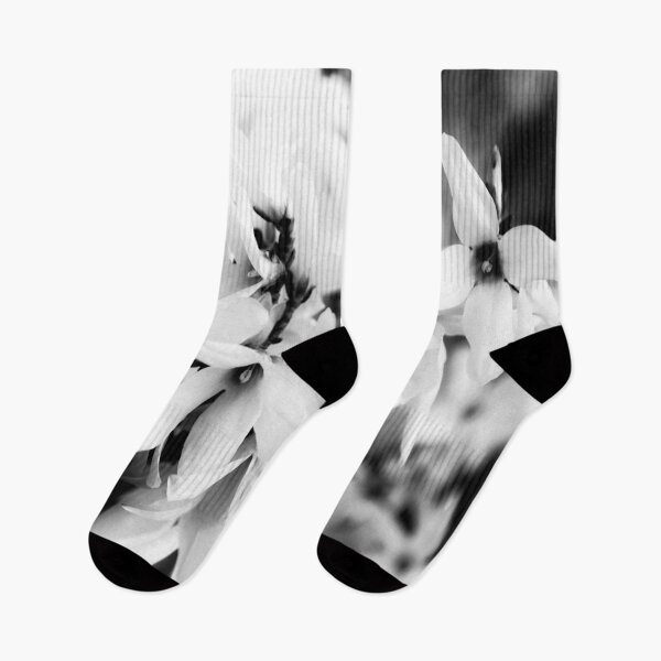 Item preview, Forsythia in BW designed and sold by by-jwp.