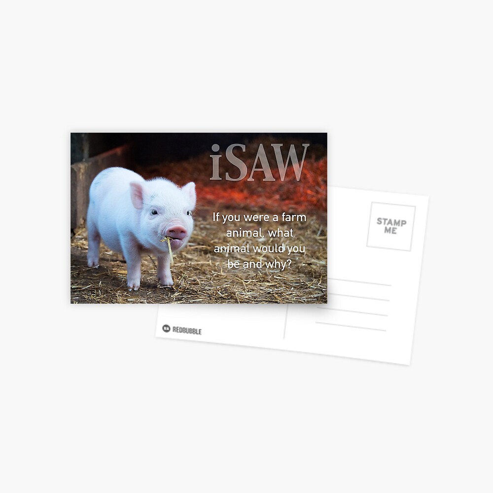 If You Were A Farm Animal Postcard