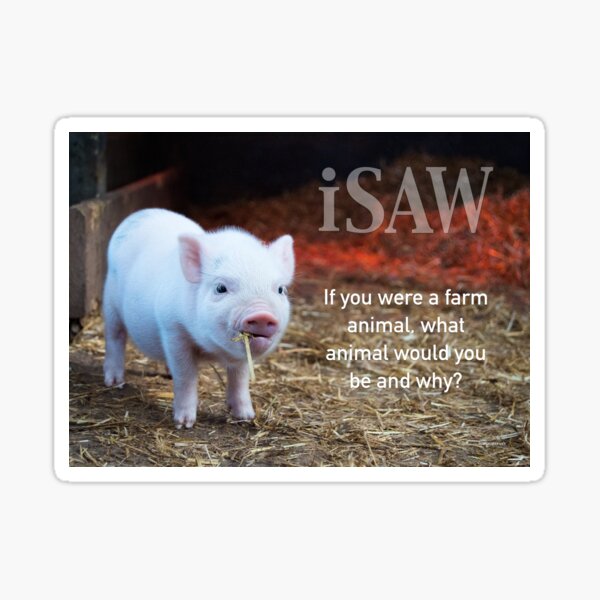 If You Were A Farm Animal Sticker