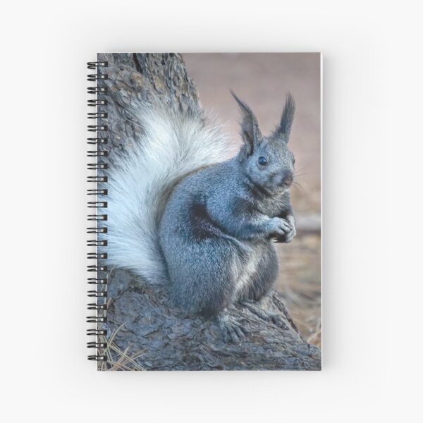 Item preview, Beautiful Kaibab Squirrel designed and sold by Squirrel-Girl.