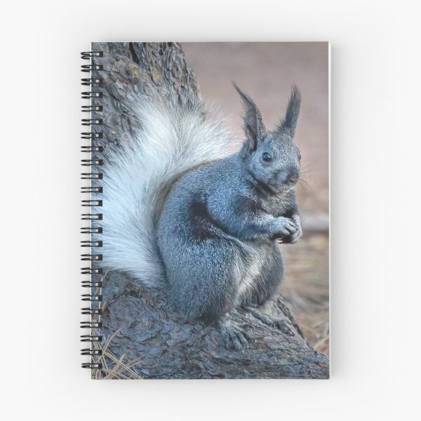 Item preview, Beautiful Kaibab Squirrel designed and sold by Squirrel-Girl.