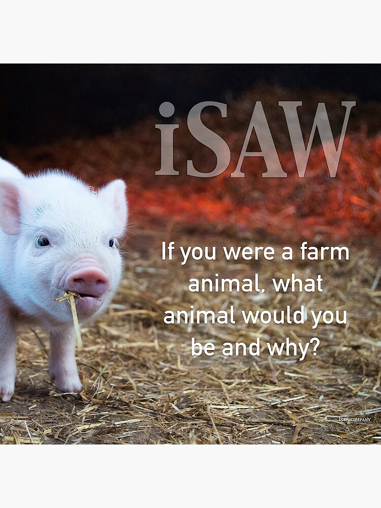 If You Were A Farm Animal by iSAWcompany