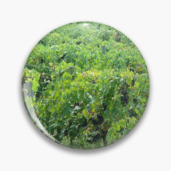 Item preview, Grapevines in the Vineyard designed and sold by Allen Penton.