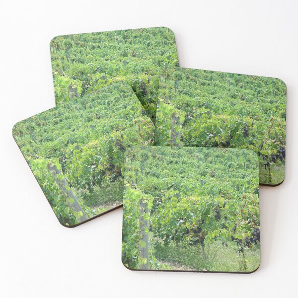 Item preview, Grapevines in the Vineyard designed and sold by Allen Penton.