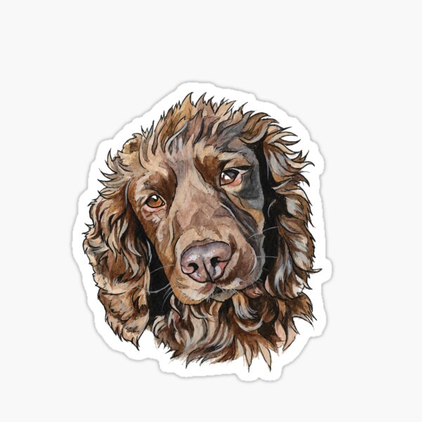 0382(2) Sticker