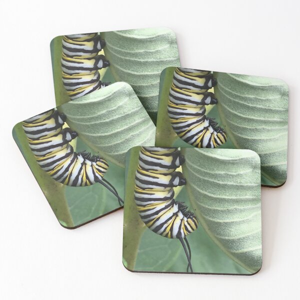 Item preview, Caterpillar  designed and sold by Rachel-is-Wise.