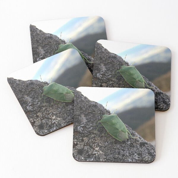 Item preview, Stink Bug  designed and sold by Rachel-is-Wise.